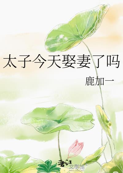 太子今天娶妻了吗封面