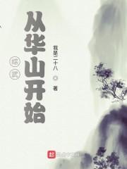 综武从华山开始封面