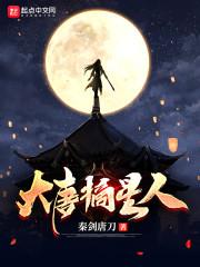 大唐摘星人封面