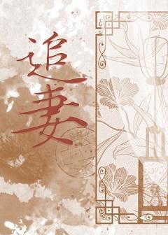 是长公主不是掌心雀封面