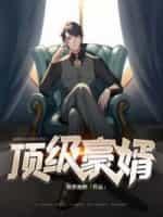 顶级豪婿封面