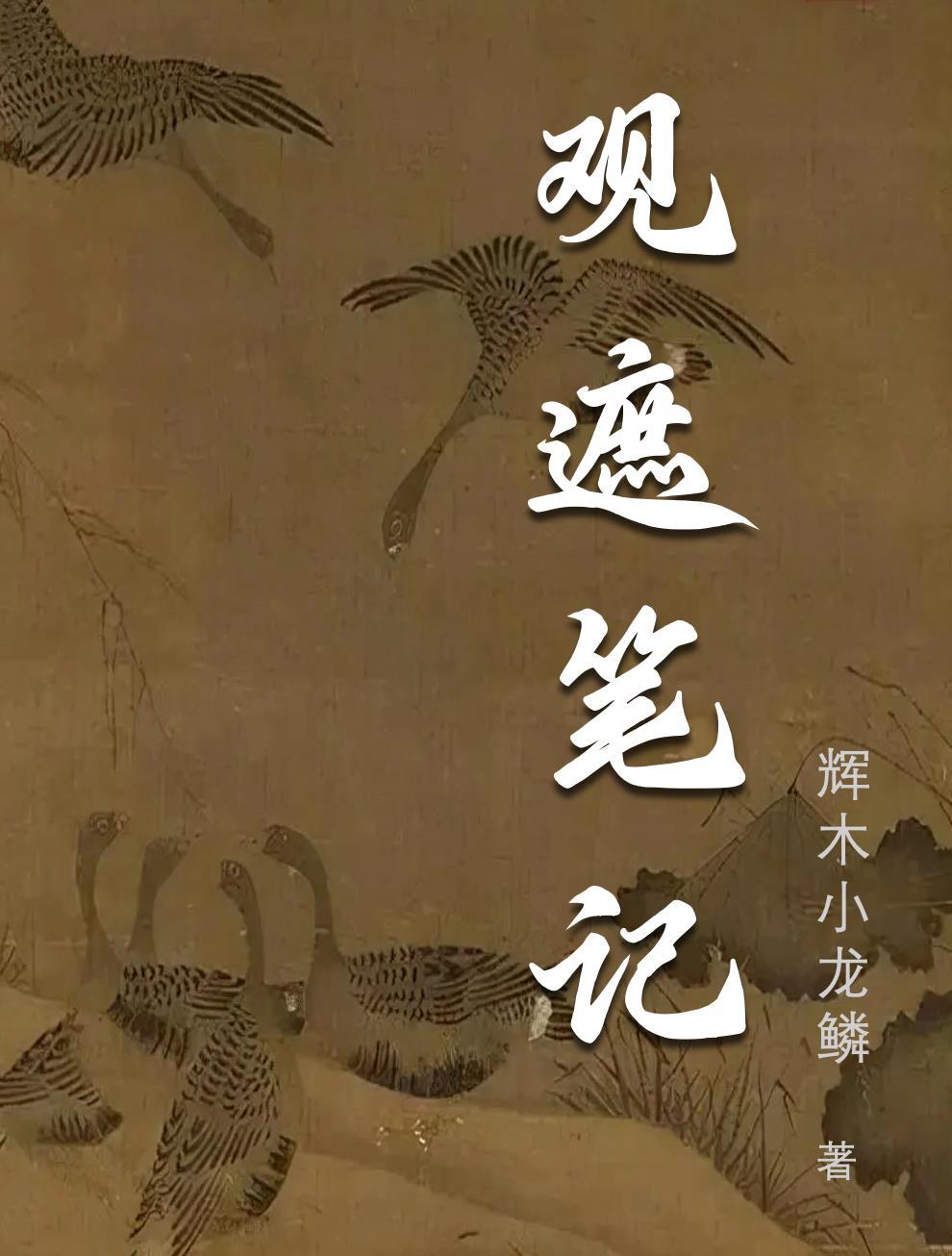 观遮笔记——穿书媒婆工作日志封面