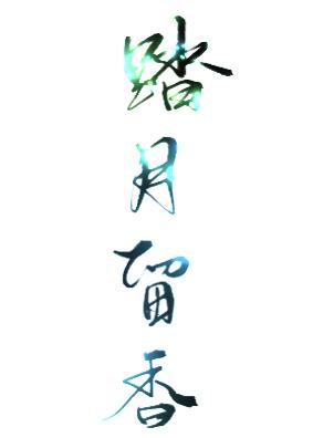 踏月留香[综]封面