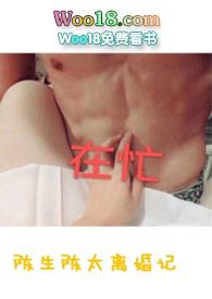 陈生陈太离婚记封面