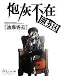 炮灰不在服务区封面