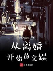 开局从离婚开始封面