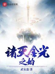 诸天金光之始封面
