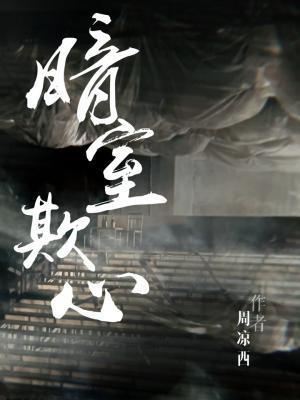 暗室欺心封面