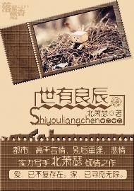 世有良辰封面