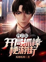 四合院：开局抓棒梗游街封面