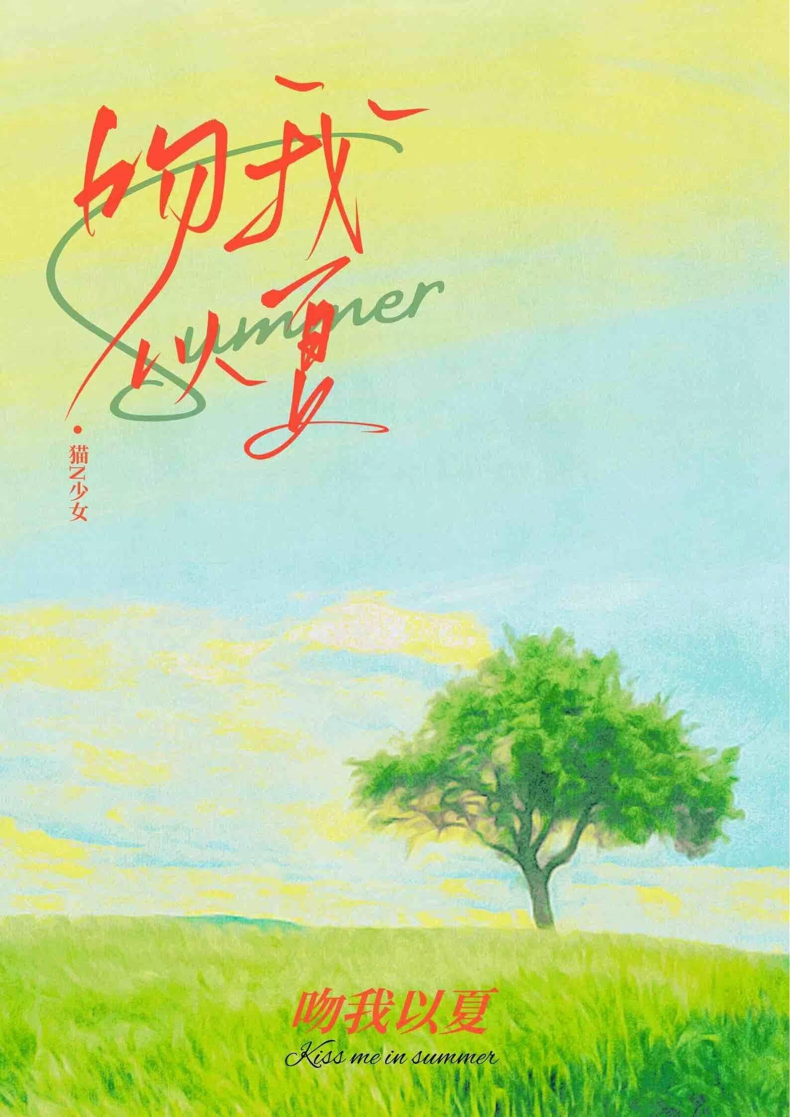吻我以夏封面
