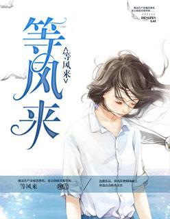 等风来封面
