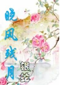 晓风残月（限，高H)封面