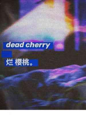 烂樱桃封面