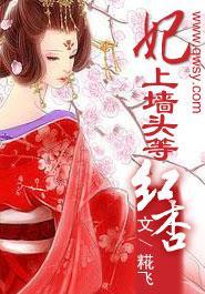 妃上墻头等红杏封面
