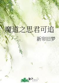 魔道之思君可追封面