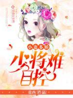 小妻多娇：少将难自控封面