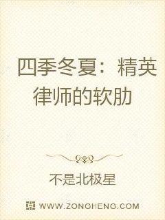 四季冬夏：精英律师的软肋封面