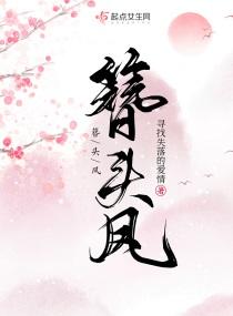簪头凤一世红妆与君系封面