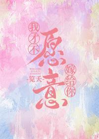 我才不愿意嫁给你封面