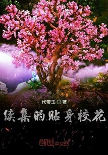 续集的贴身校花封面