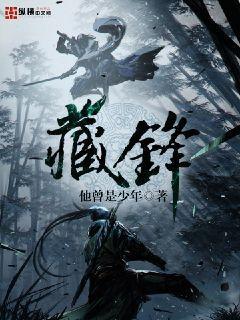 藏锋清欢封面