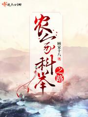 农家科举之路封面