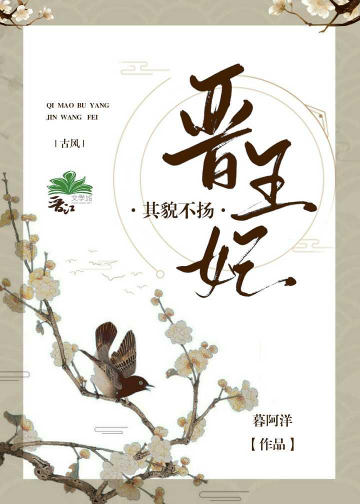 其貌不扬晋王妃封面