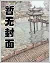 娱乐明星风流录封面