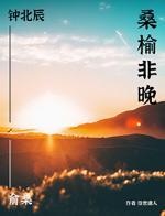 桑榆非晚封面