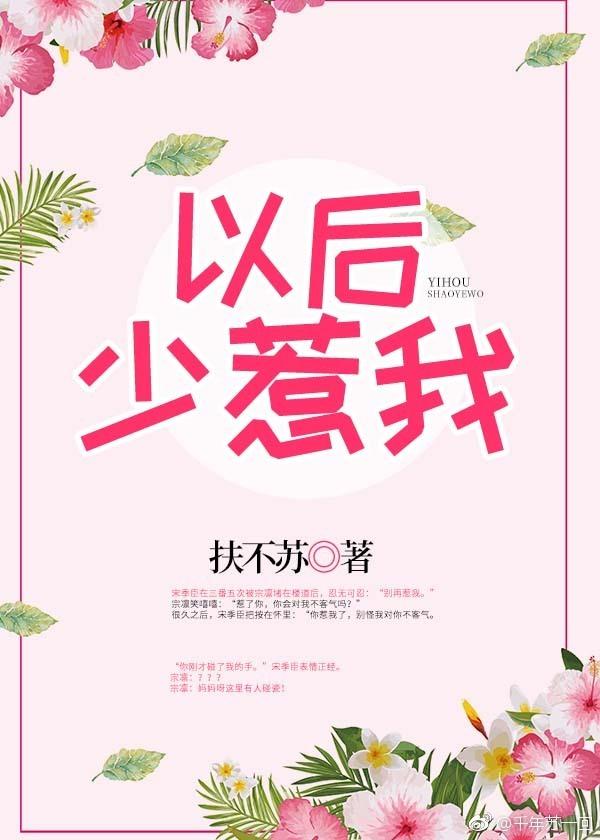 以后少惹我封面
