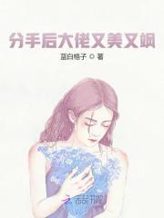 洛柠陆洵封面