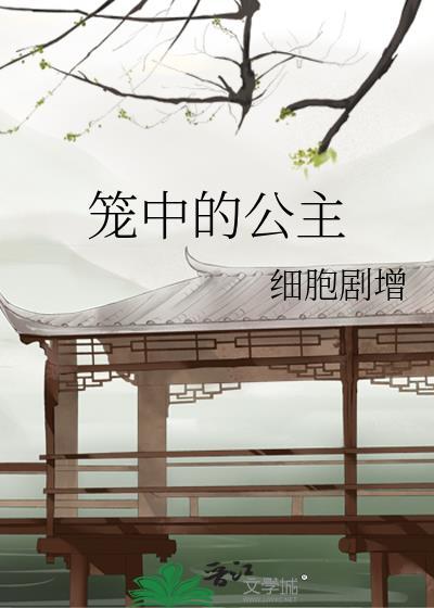 笼中的公主封面