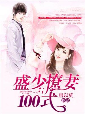 盛少宠妻100式封面
