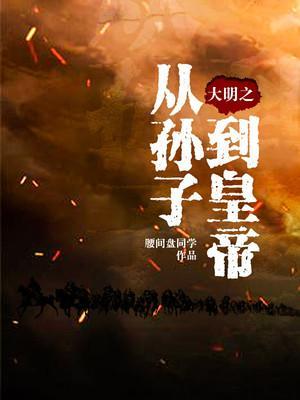 大明之从孙子到皇帝封面