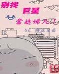 别找巨星当媳妇儿封面