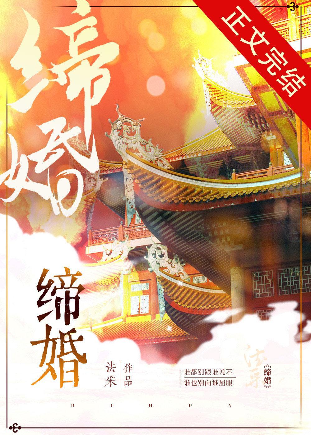 缔婚封面