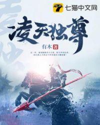 凌天独尊封面