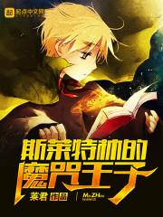 哈利波特之魔咒王子封面