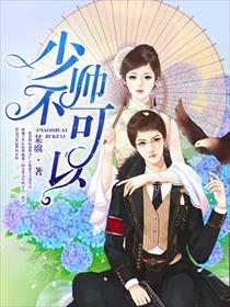 少帅，不可以！封面
