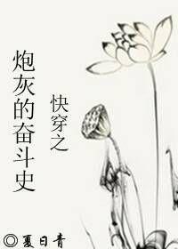 炮灰的奋斗史封面
