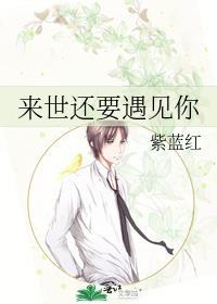 来世还要遇见你封面