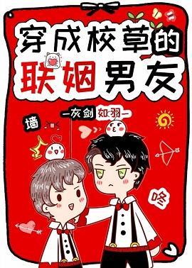 穿成校草的联姻男友[穿书]封面