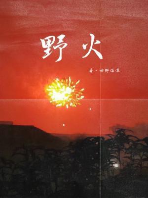野火封面