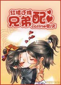 红楼还珠林家封面