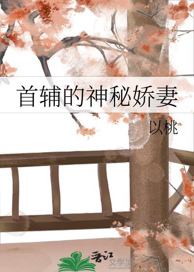 首辅的神秘娇妻封面