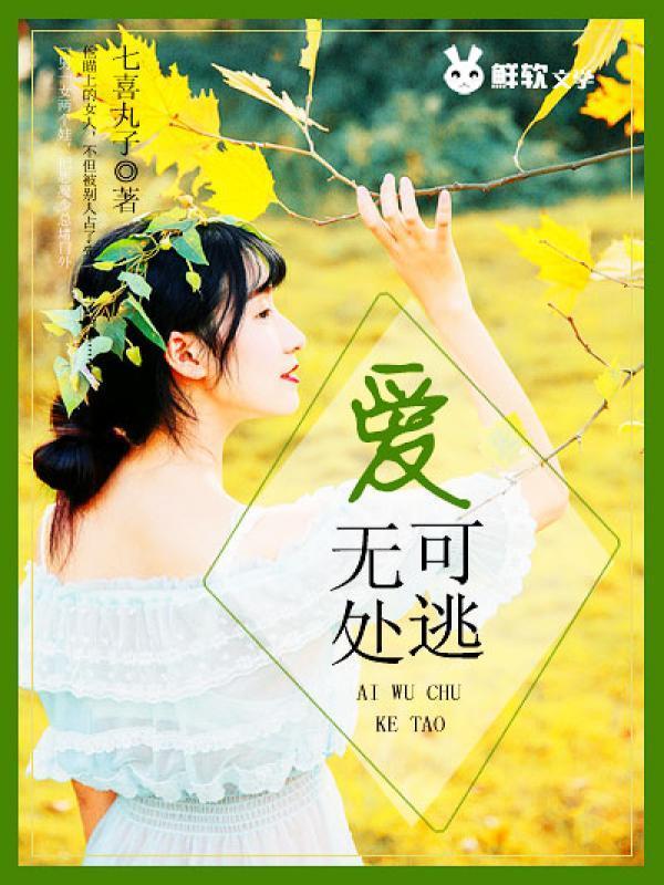 极品辣妈好V5封面