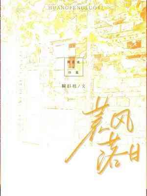 荒风落日封面