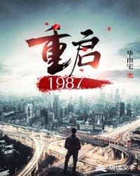 重启1987封面