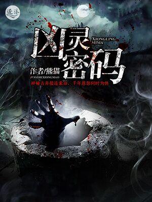 凶灵密码封面
